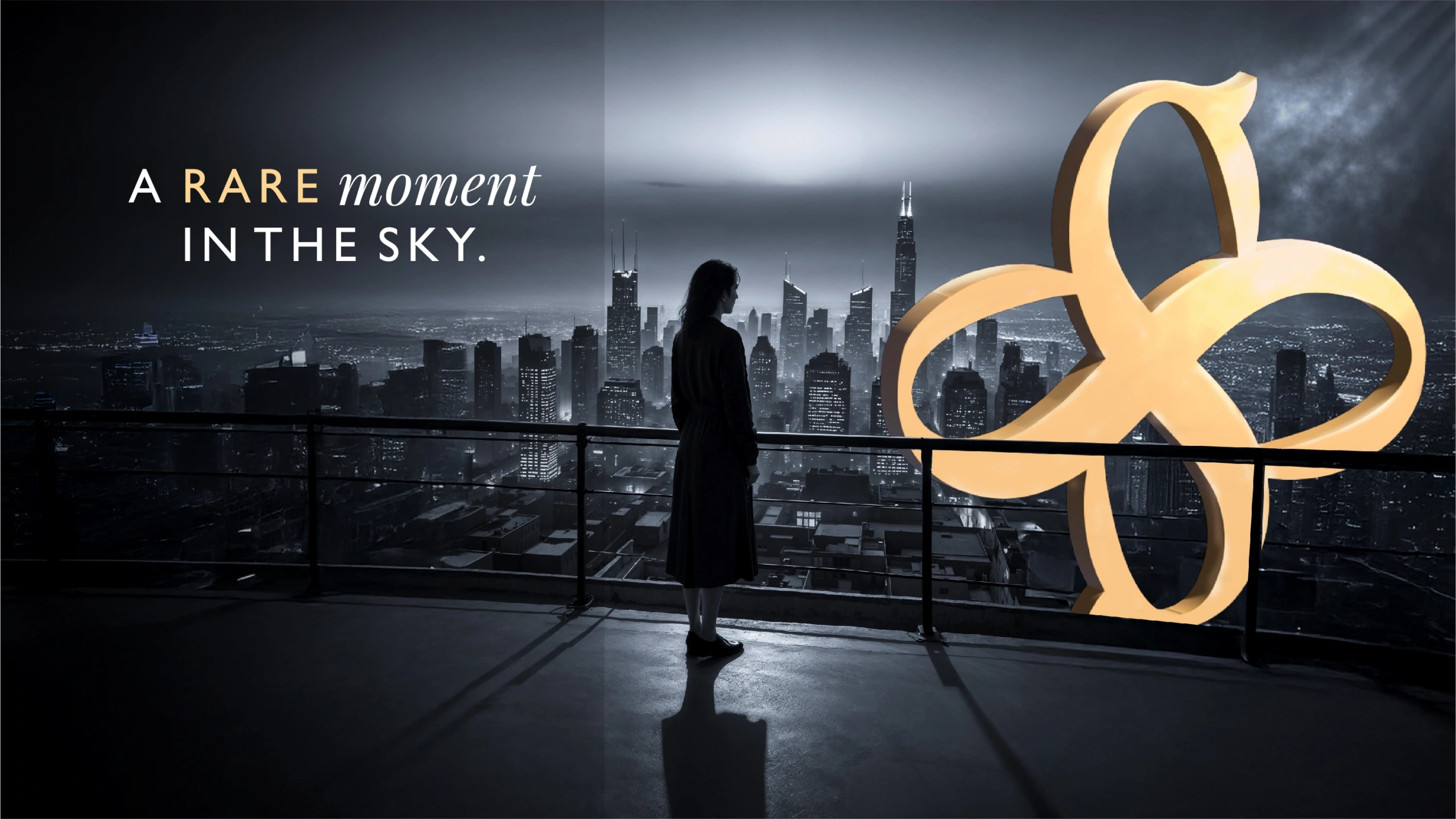 Skyfinia Desktop Project Details images-01