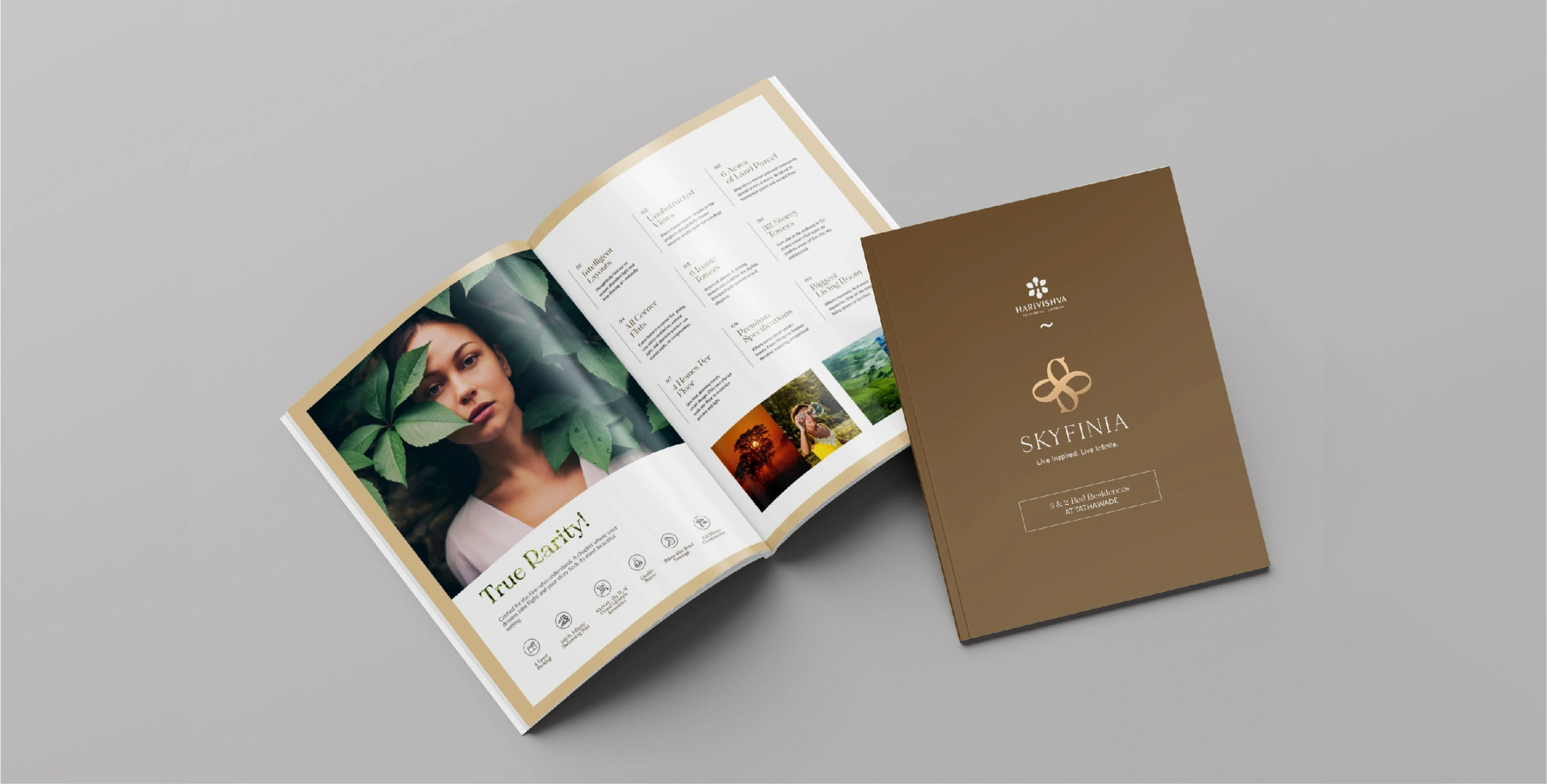 Skyfinia Desktop Project Details images-04